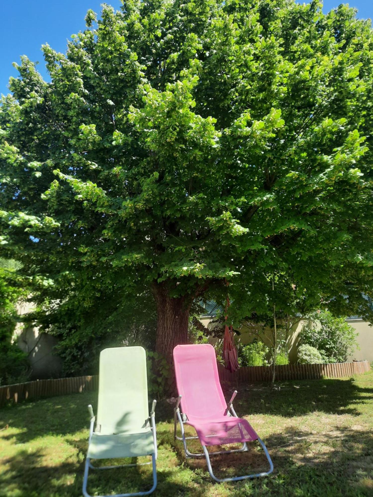 Séjour chez l'habitant De Lumiere Et De Joie
